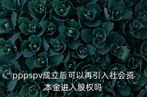 spv公司是什么意思，spv公司是獨(dú)立法人