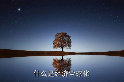什么事全球化公司，什么東西是全球化的例子