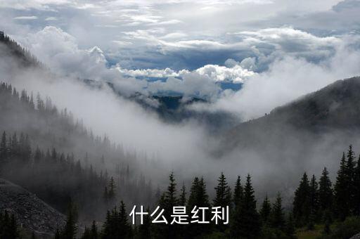 什么是全球化紅利，紅利是指什么意思