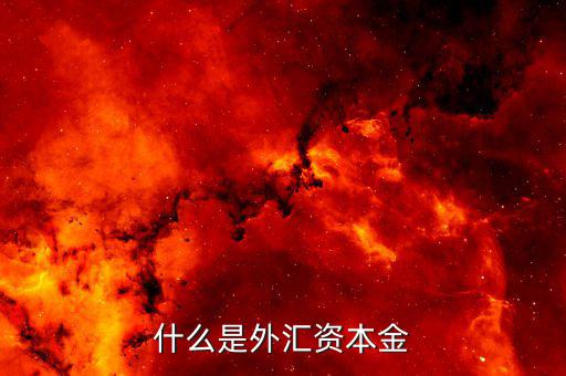 什么叫外匯資本金結(jié)匯，什么是資本金結(jié)匯