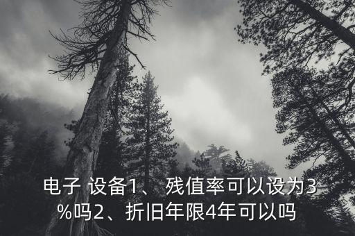  電子 設(shè)備1、 殘值率可以設(shè)為3%嗎2、折舊年限4年可以嗎