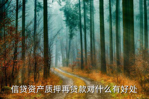 信貸資產質押再貸款是什么意思，信貸資產質押再貸款是什么意思