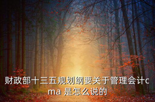 財政部對什么有具體規(guī)劃，財政部每年的具體招人計劃是怎么制定的或者那些公務(wù)員的職