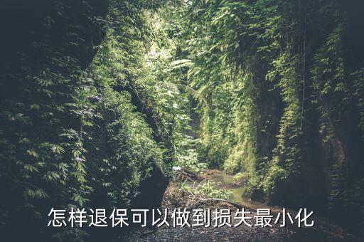 什么辦法能退保險(xiǎn)不損失，退保怎樣能減少損失