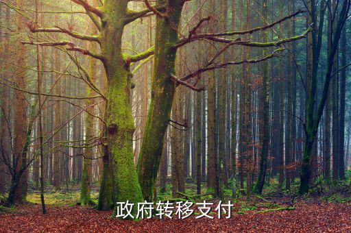 為什么政府提供實(shí)物轉(zhuǎn)移支付，一個(gè)國(guó)家為什么要執(zhí)行轉(zhuǎn)移支付制度