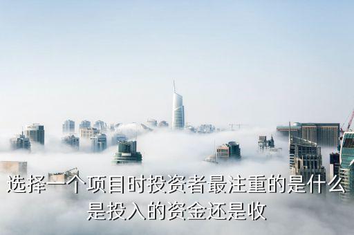 投資人最看重什么投資收益，投資者最看重的是什么呢