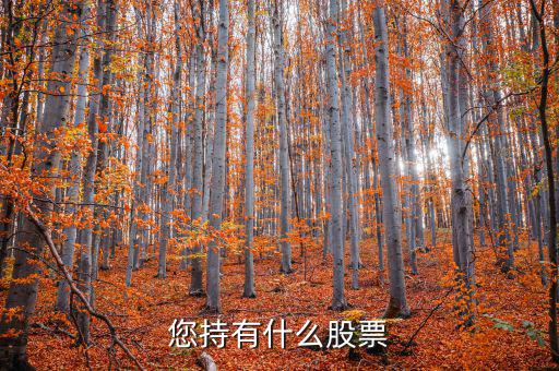 張正委持有什么的股票，香港中央代理人持有哪些股票