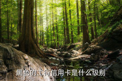 工商銀行的黑卡有什么權(quán)限，工行是不是出了一款運(yùn)通黑卡啊我想問的是想申請運(yùn)通黑卡要在當(dāng)?shù)?/></a></span><span id=