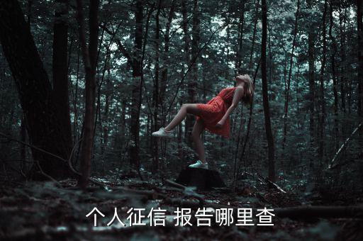 個人信用報告怎么查,三大信用報告免費(fèi)查詢服務(wù)