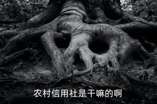 農村信用社是干嘛的啊