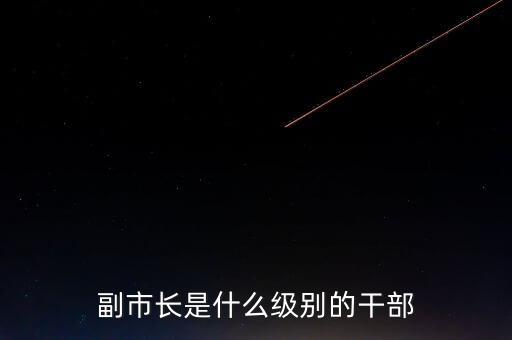 重慶市副市長是什么級別，重慶副市長是什么級別