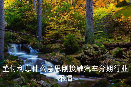 墊付利息是什么意思，紅利保險(xiǎn)會(huì)自動(dòng)墊付期間會(huì)出利息