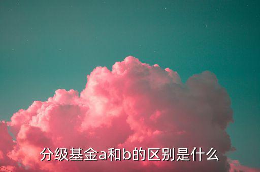 什么是a份額，分級(jí)基金A份額是什么意思