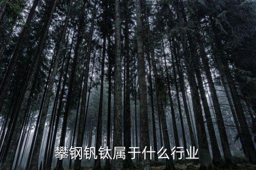 釩鈦產(chǎn)業(yè)屬于什么行業(yè)，攀鋼釩鈦屬于什么行業(yè)
