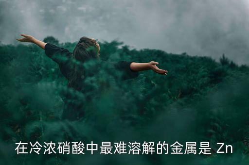 什么金屬易融難化，最不容易融化的金屬是什么想對來說便宜一點的是什么
