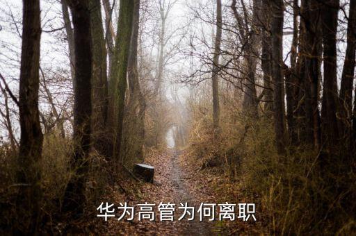 范家輝為什么離職，美國(guó)駐華大使家輝為什么宣布將辭職為什么來的如此的突然