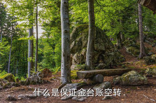 什么是資金空轉(zhuǎn)，資金沖轉(zhuǎn)的含義是什么名詞解釋
