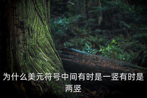 比美元符號(hào)多一豎是什么，一個(gè)很像美元的符號(hào) 但是那一豎是不貫穿S的 也就是S上面有一小豎