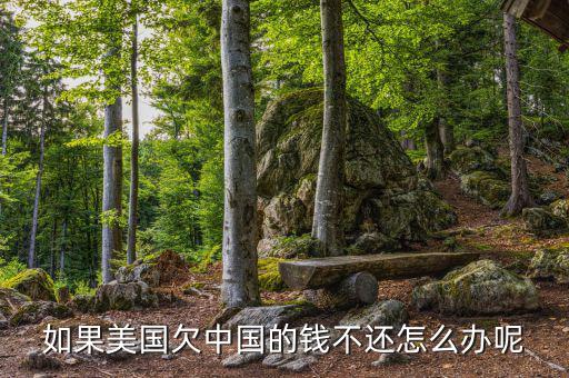 如果美國(guó)欠中國(guó)的錢不還怎么辦呢