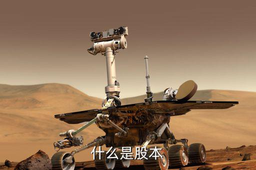 股票股本是什么意思，股本的概念
