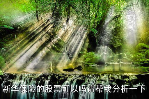 新華保險為什么股票漲這么多，新華保險的股票可以嗎請幫我分析一下