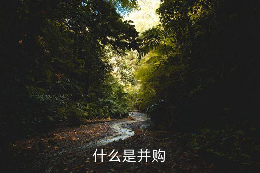 什么叫并購，什么是并購
