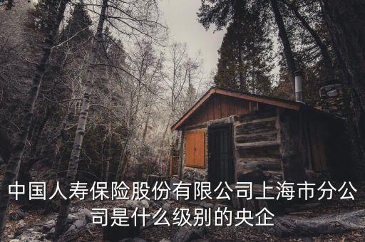 市屬國企是什么級別，省屬和市屬企業(yè)的界定標準是什么