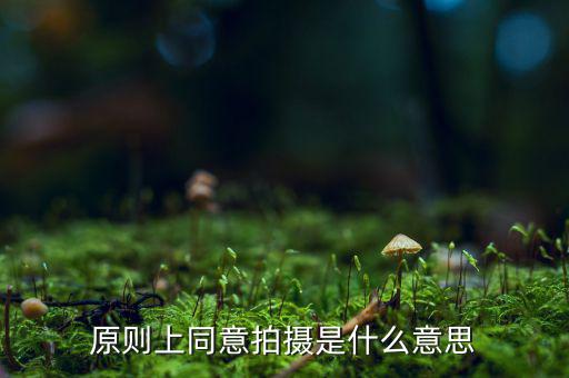 原則上同意是什么意思，原則上同意是什么意思