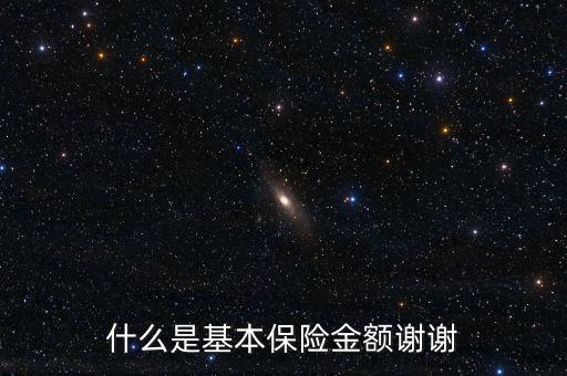 什么叫基本保險(xiǎn)金額，基本保險(xiǎn)金額是什么意思