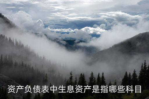 什么是生息負債，什么是速動資產(chǎn)流動負債和生息債務