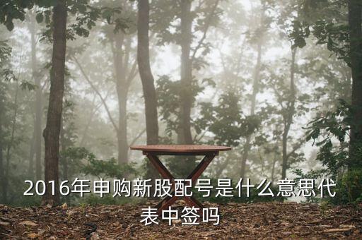 2016年申購新股配號(hào)是什么意思代表中簽嗎