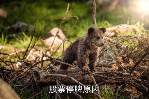 金山股份為什么停牌，股票停牌原因