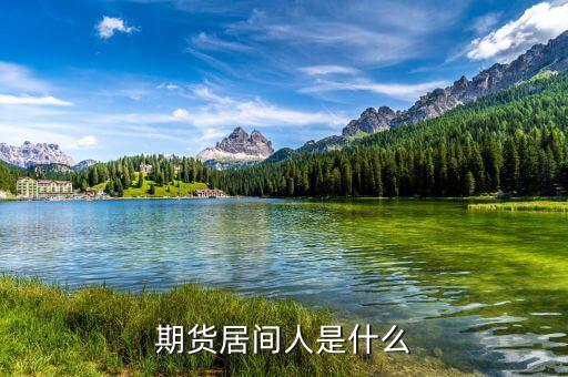 期貨居間人干什么的，期貨居間人是什么