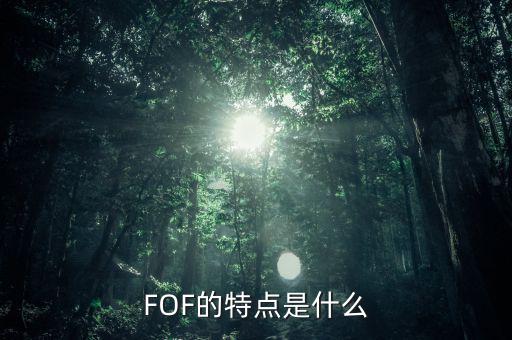 什么是fof，ETF基金和FOF有何區(qū)別