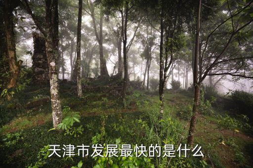 天津靠什么發(fā)展，天津市發(fā)展最快的是什么