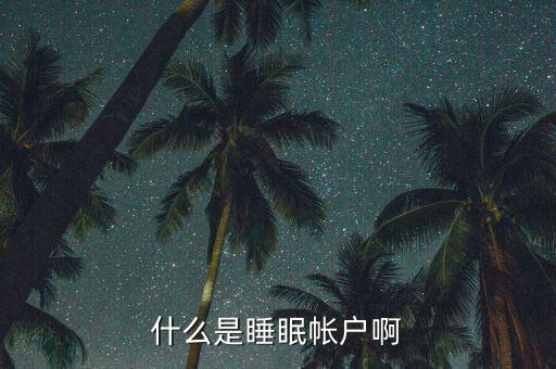 什么是睡眠賬戶，什么是睡眠帳戶啊