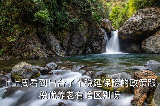 上上周看到出臺了個(gè)稅延保險(xiǎn)的政策跟稅優(yōu)養(yǎng)老有啥區(qū)別呀