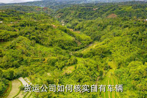 貨運資產是什么意思，貨運公司如何核實自有車輛