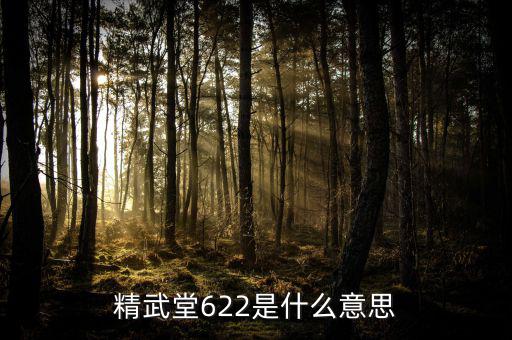 622什么意思國(guó)泰君安，國(guó)泰君安是什么意思