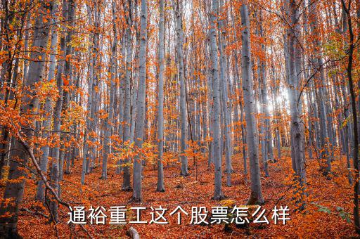 通裕重工是什么板塊，通裕重工這個股票怎么樣
