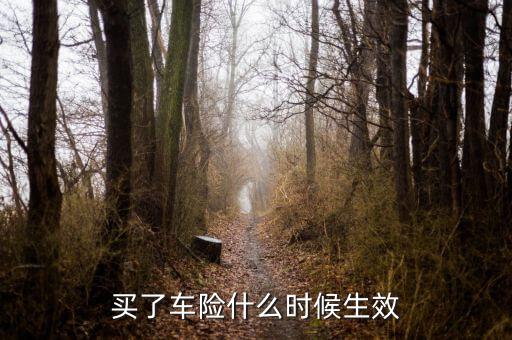 買(mǎi)了車險(xiǎn)什么時(shí)候生效