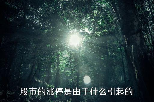 股票漲停跟什么有關(guān)系，股票開(kāi)盤(pán)就漲停受什么因素影響能否具體回答