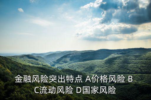 金融風(fēng)險有什么特征，試述國際金融風(fēng)險的特征