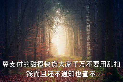 甜橙快貸資源未找到是什么意思，翼支付的甜橙快貸大家千萬不要用亂扣錢而且還不通知也查不