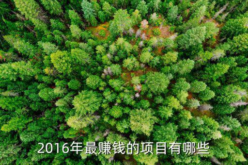 2016什么最賺錢，2016年做什么行業(yè)最賺錢