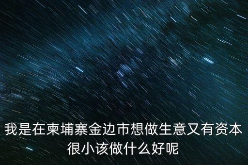 柬埔寨投資100萬元能干什么，我是在柬埔寨金邊市想做生意又有資本很小該做什么好呢
