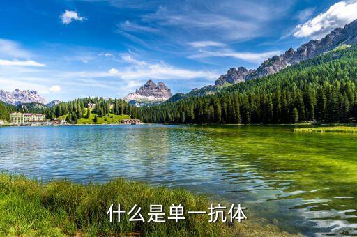 什么是單抗藥物，美珀利單抗是一種什么藥