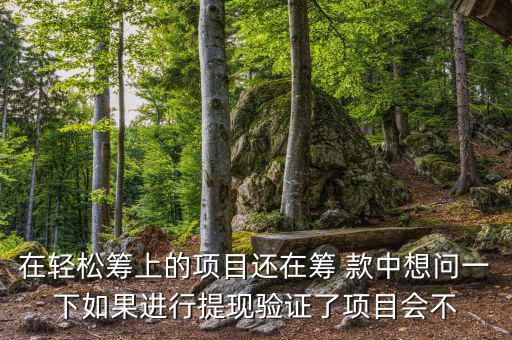 輕松籌提現(xiàn)有什么審核，輕松籌審核條件