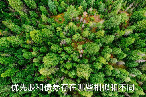 境外優(yōu)先股是什么，優(yōu)先股試點(diǎn)是什么說的詳細(xì)點(diǎn)