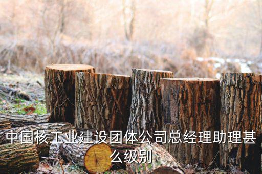 中國核工業(yè)集團(tuán)什么級別，中國核工業(yè)建設(shè)團(tuán)體公司總經(jīng)理助理甚么級別
